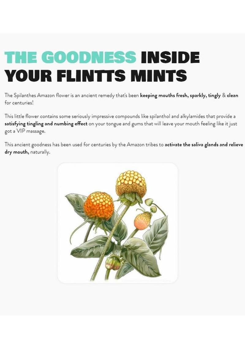 Flintts Mints Mouth Watering Oral Delights - Cool Watermelon